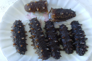 海参(水浸)