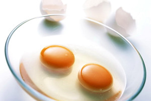 鸡蛋白