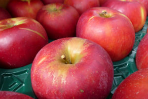 红玉苹果