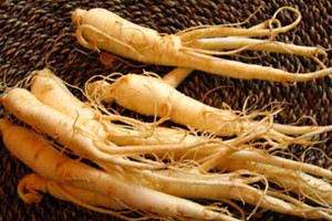 人参