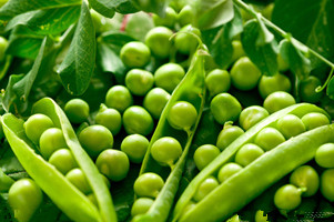 豌豆