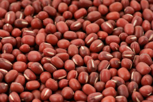 赤小豆