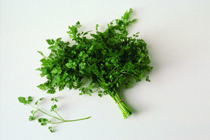 香菜