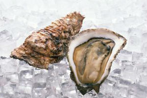 生蚝
