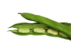 白豆角